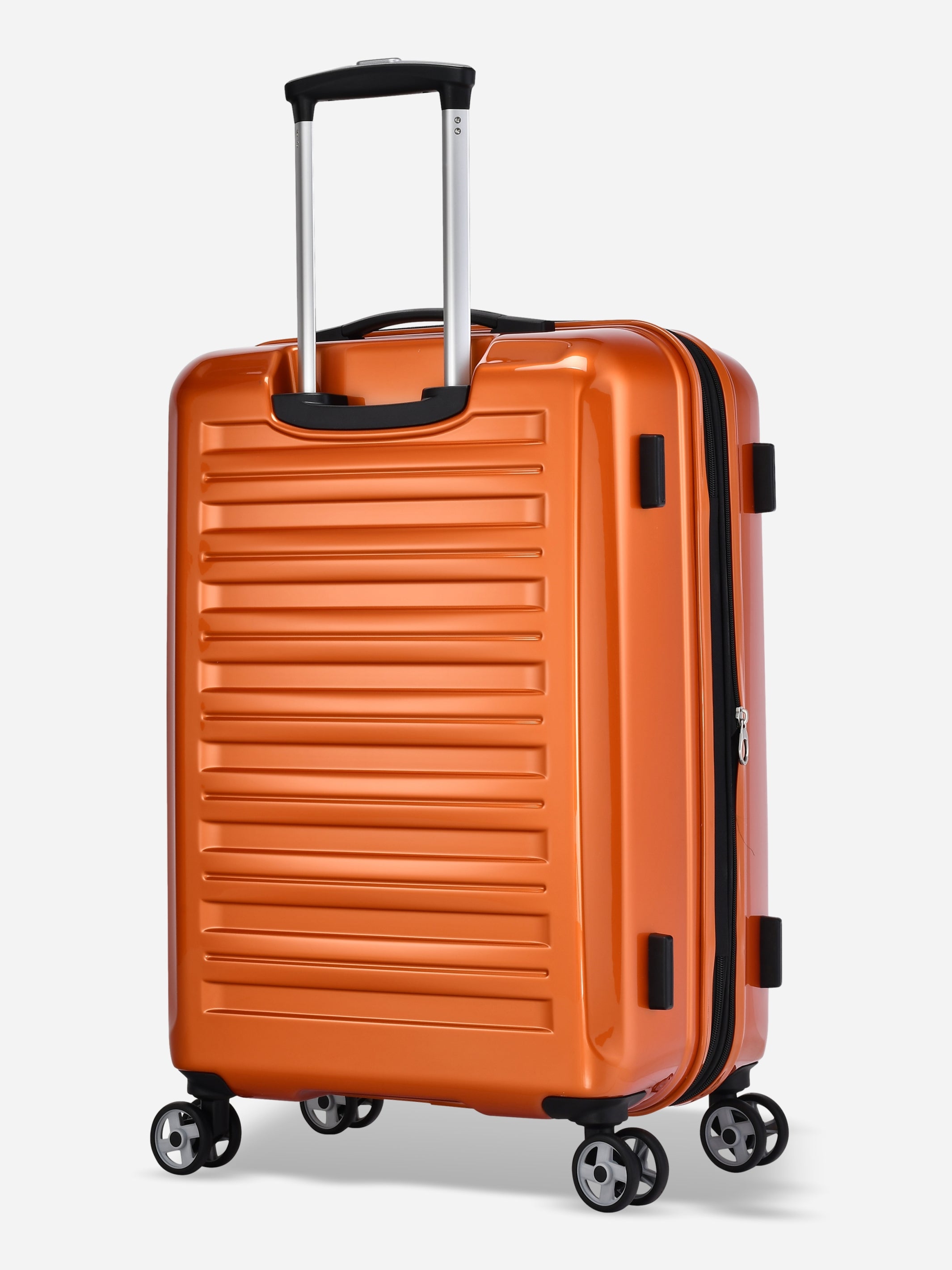 Probeetle luggage online